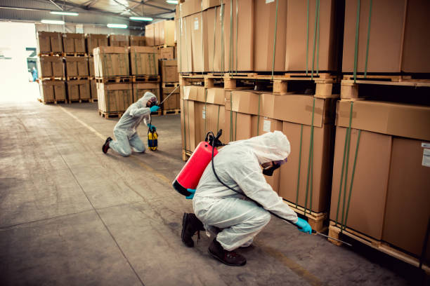 Best Ant Control Services  in Fabens, TX