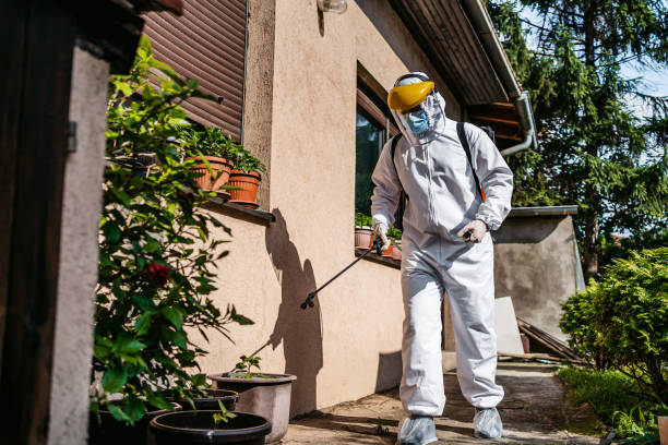 Best Insect Control  in Fabens, TX