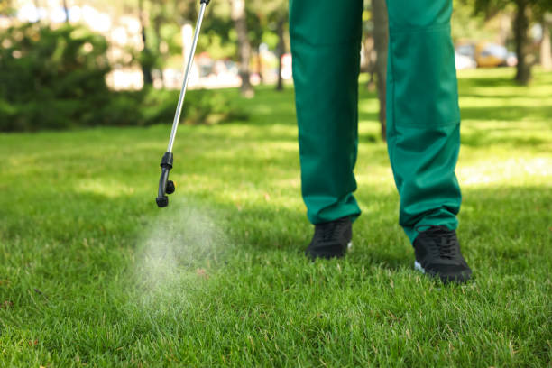 Professional Pest Control in Fabens, TX