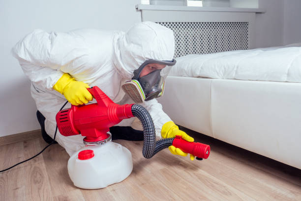 Best Emergency Pest Control  in Fabens, TX