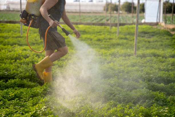 Best Exterminator Services  in Fabens, TX