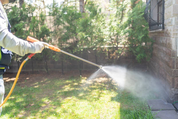 Best Affordable Pest Control Services  in Fabens, TX