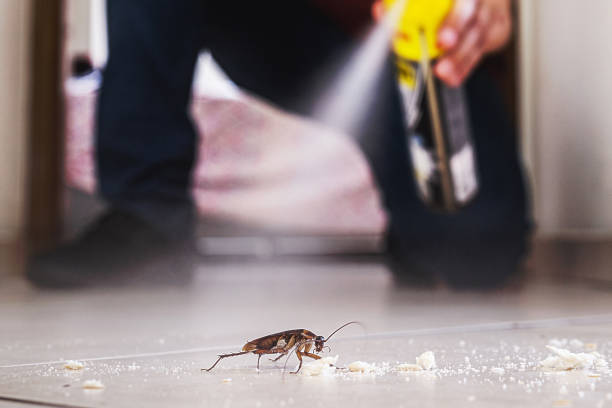 Best Residential Pest Control  in Fabens, TX