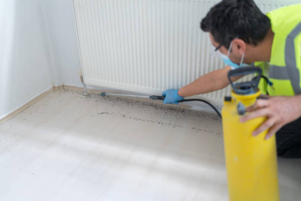 Best Local Pest Control Services  in Fabens, TX