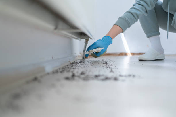 Best Pest Removal Services  in Fabens, TX