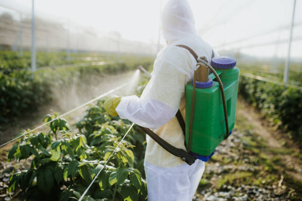 Best Bed Bug Extermination  in Fabens, TX